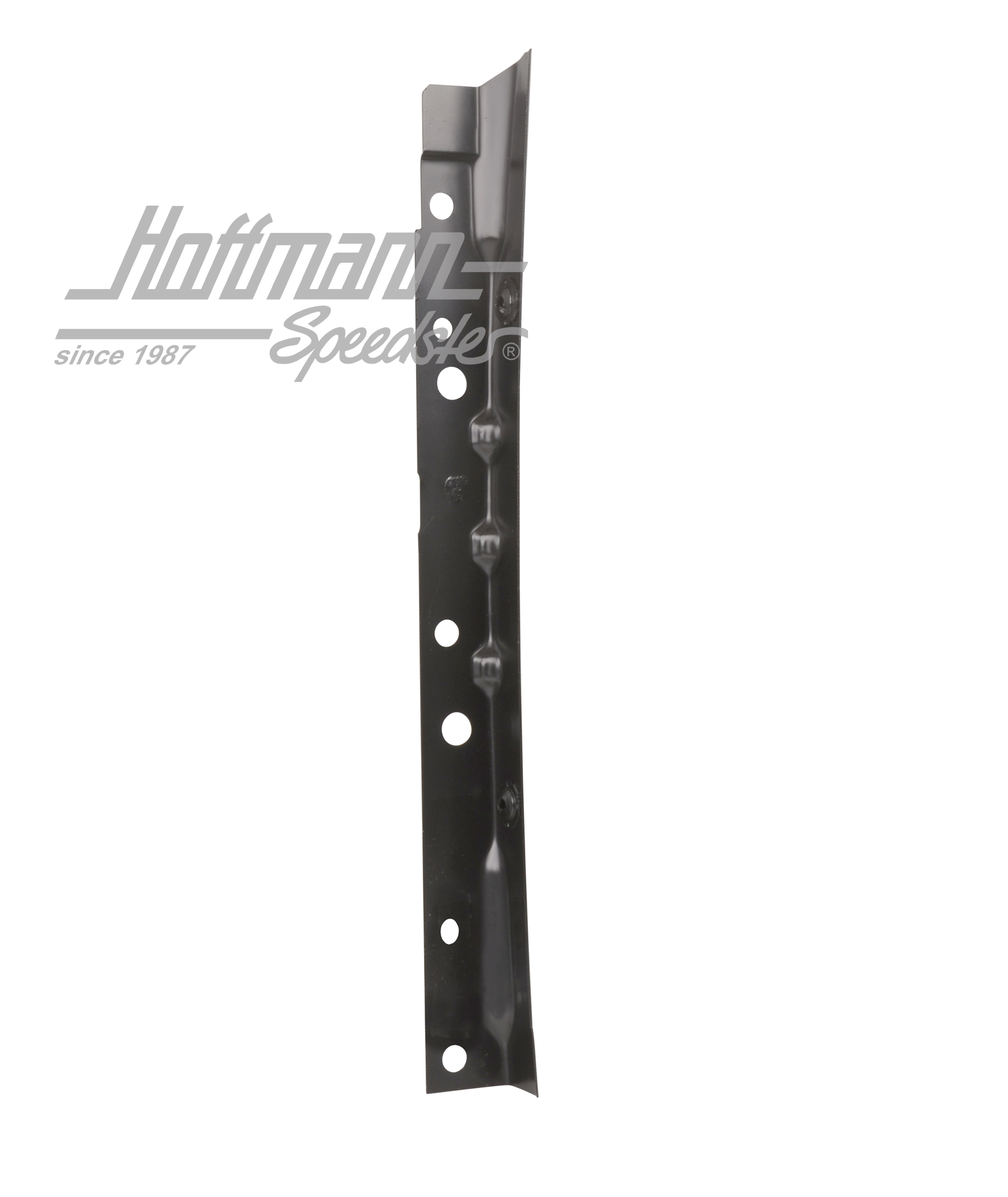 Piastra web, parafango, anteriore, TDI, sinistra | 701 821 099 | 408-8039-41