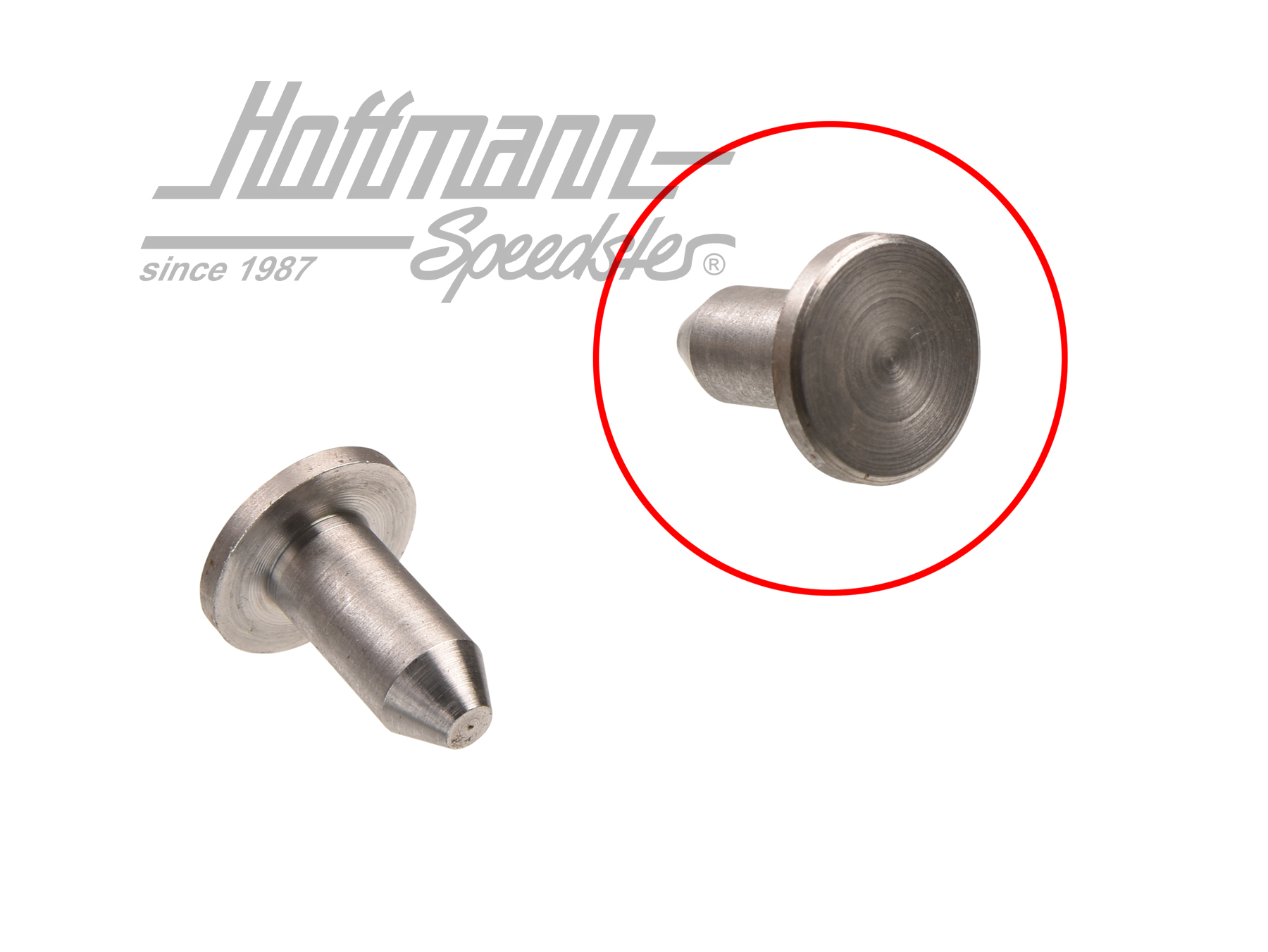 Bullone, cuscinetto di supporto, limitatore della porta | 181 809 PIN | 080-2620-10