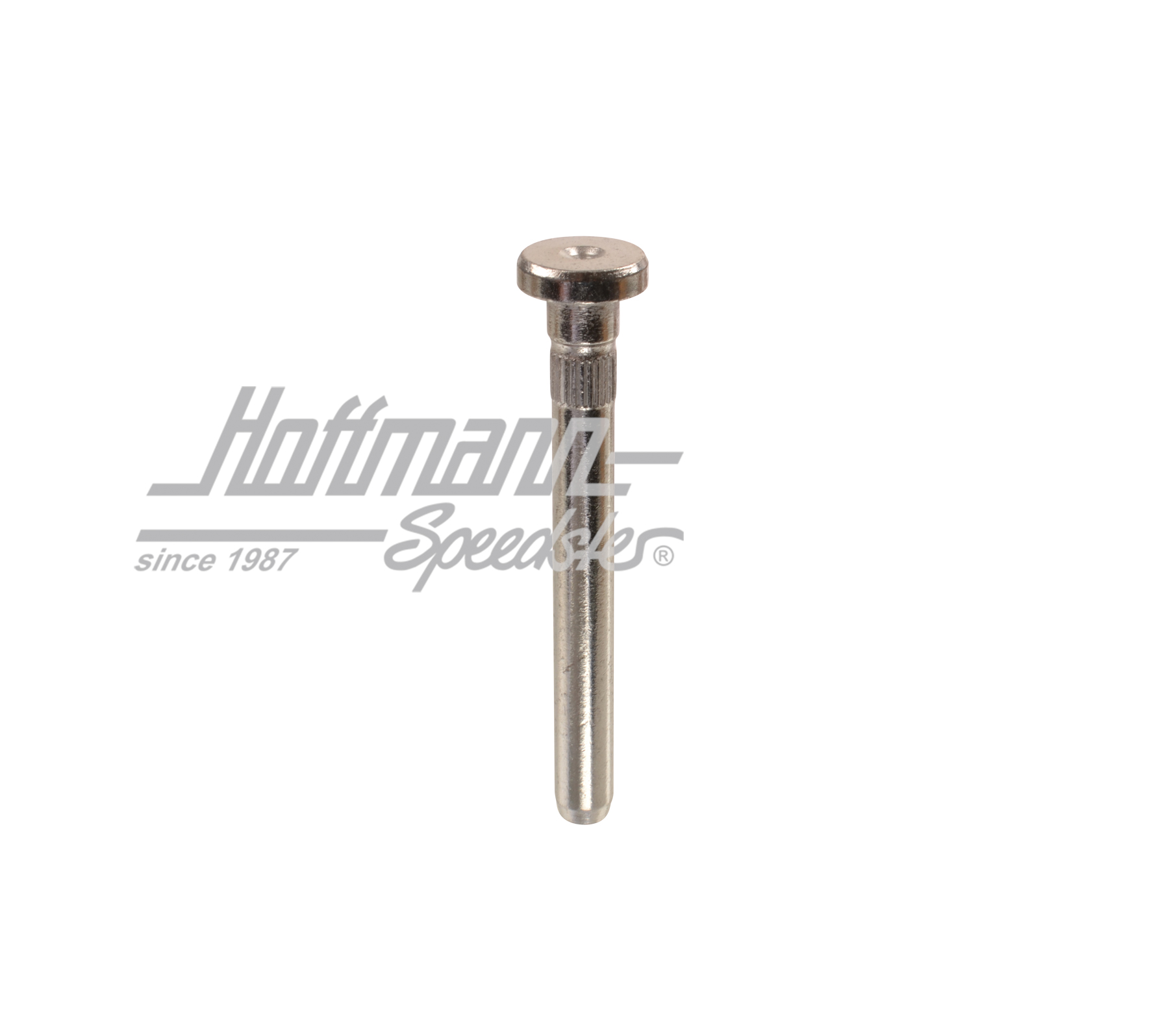 Perno cerniera di portiera, 911/912/964/993/914 | 901 531 305 20 | 511-0260