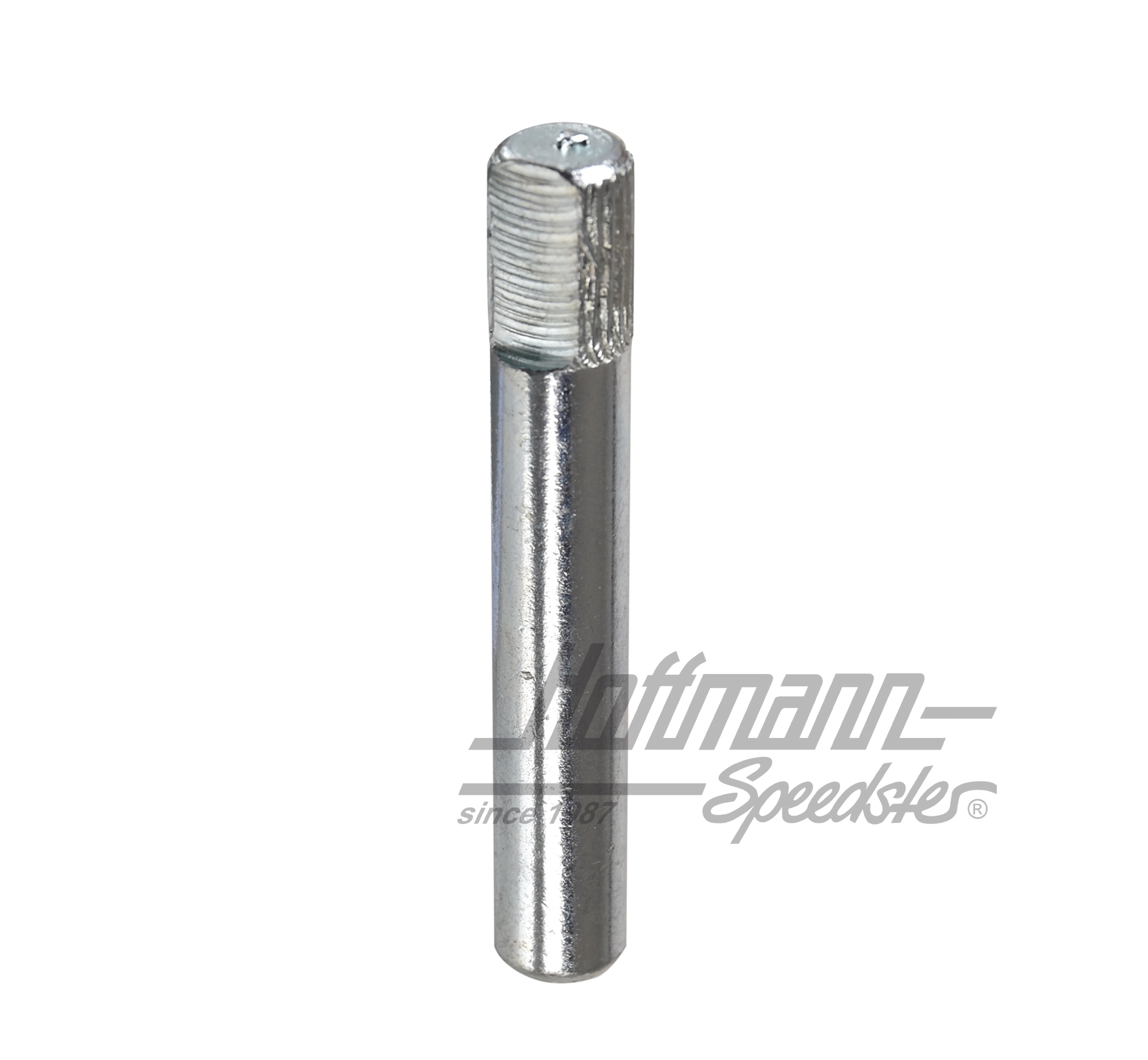 Perno cerniera di portiera, (lungo), ø8mm | 111 831 421 | 020-2442