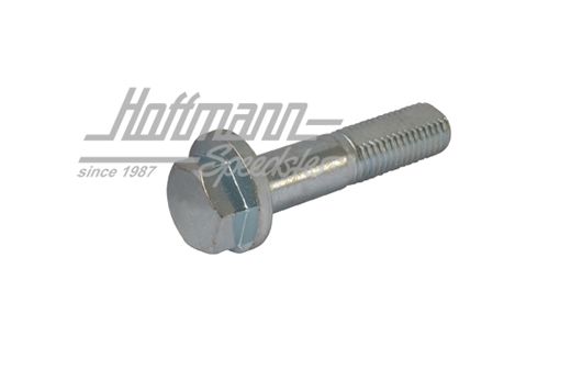 Vite dell'eccentrico, montante telescopico, Golf 1 | 171 407 265 | 140-3422