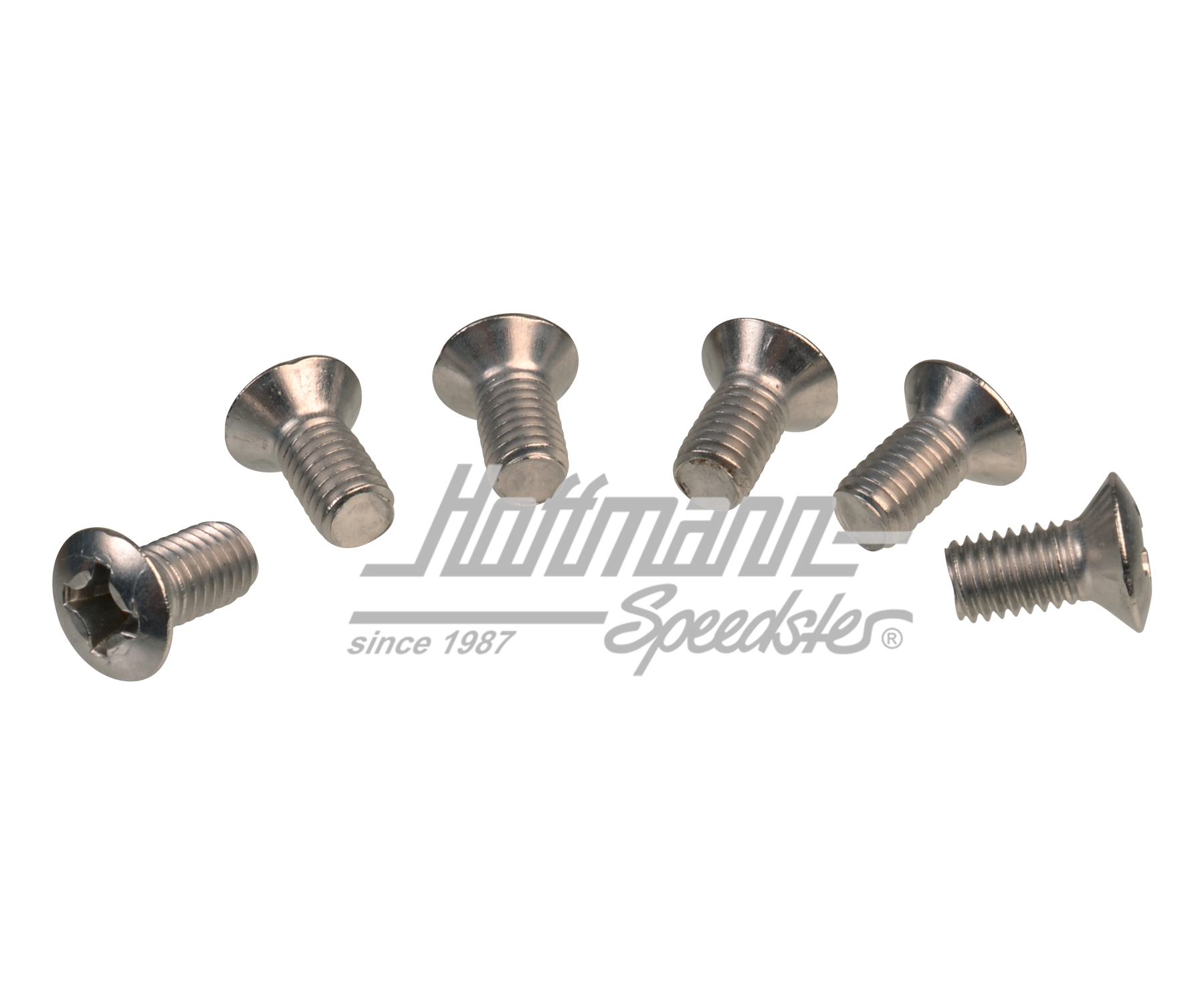 Viti, cerniera porta (Set) | N  100 847 01 | 020-2440-10