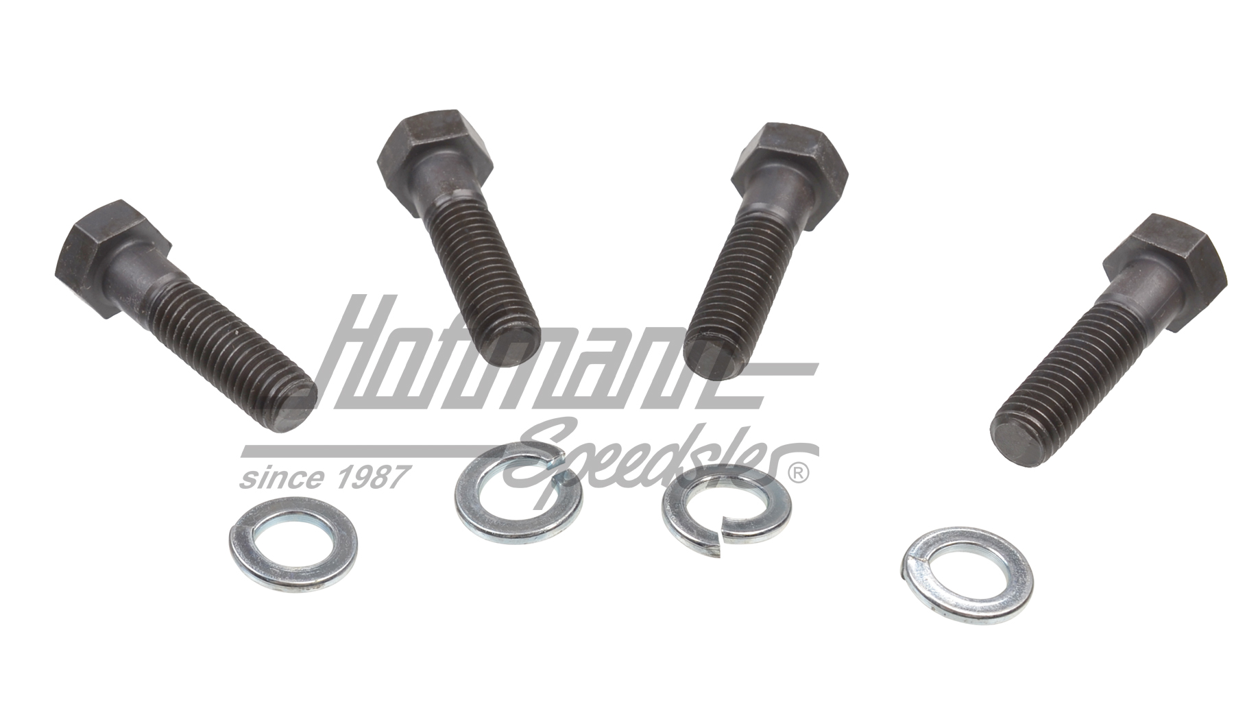 Set di viti, barra di torsione, M10x38 | N  010 201 | 020-0701-10