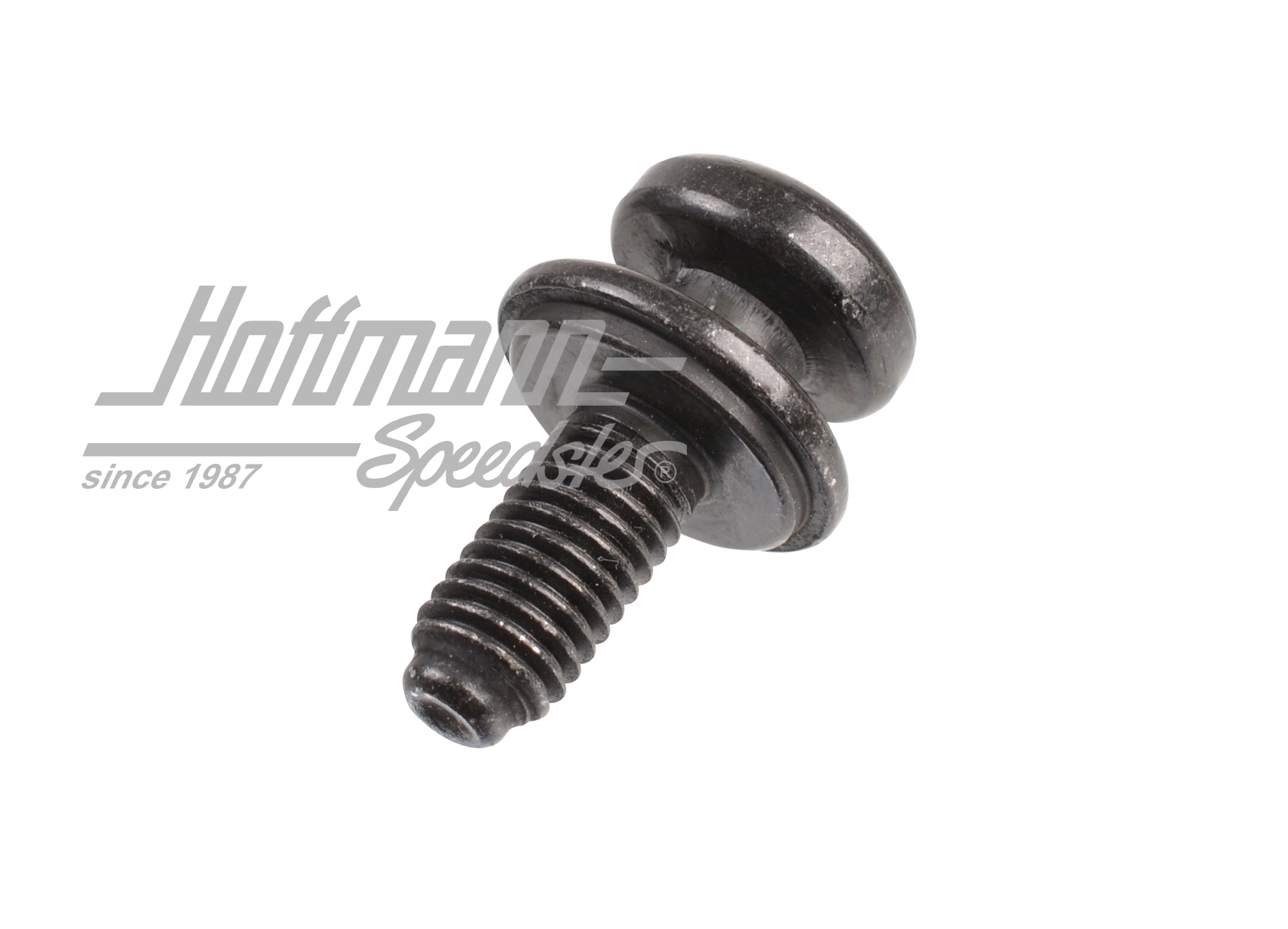 Vite con capocchia a fungo, panchina, Furgone T4, 21mm                                              