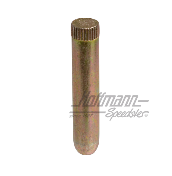 Perno della cerniera della porta, ø8mm, Furgone T2, 75-79 | 211 831 421 C | 097-1008-30