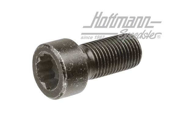 Vite, volano,  M12x1,25x25.5mm | 911 102 171 00 | 530-0450-10