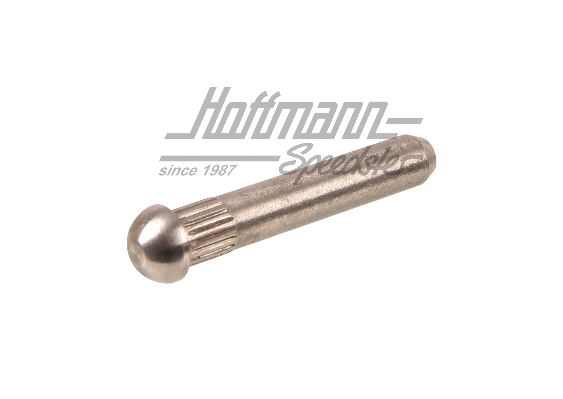 Perno di cerniera porta, ø8.5mm (sovramisura 3.)                                                    