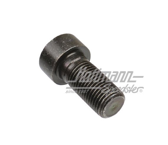 Vite, volano,  M12x1,25x25.5mm                                                                      