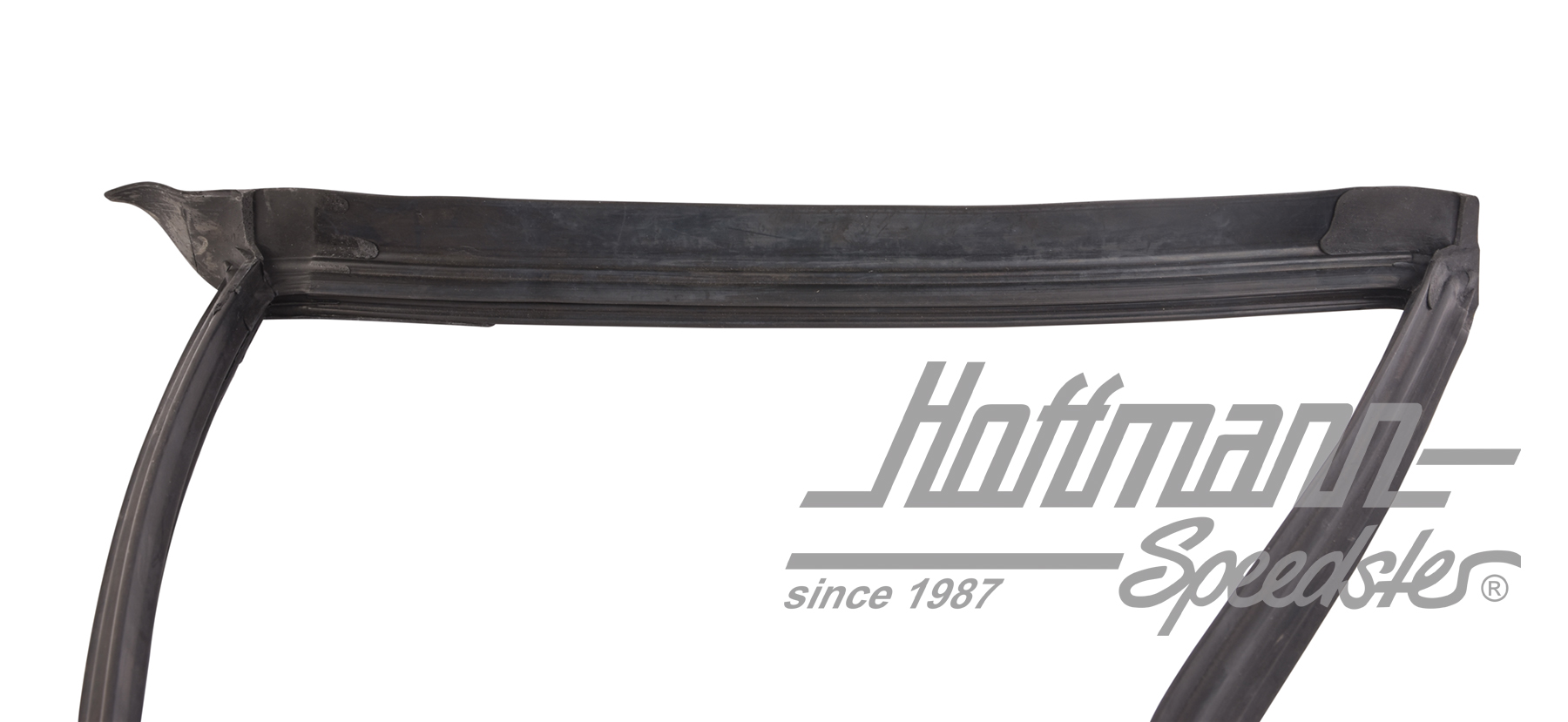 Guarnizione, deflettore, esterno, -77, sinistra                                                     