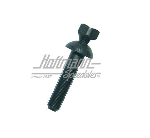 Bullone di taglio, bloccasterzo, 36/30 mm | 111 905 881 | 020-2425-06
